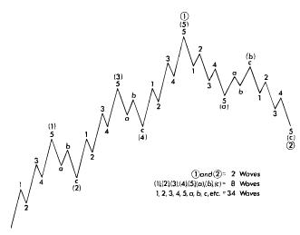 Elliot Wave Cycle